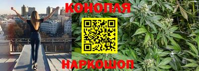 прущие крисы Краснознаменск