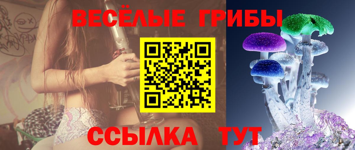 Коломна  Галлюциногенные грибы Psilocybe  Вход с VPN 